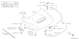 Diagram for Subaru Impreza WRX Lift Support - 57251FG010