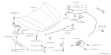 Diagram for Subaru Forester Hood - 57229SJ0019P