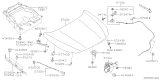 Diagram for Subaru Legacy Hood Hinge - 57260AN00A9P