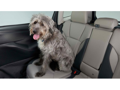 Subaru Pet Rear Door Protector SOA567R100