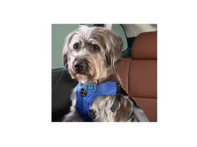 Subaru Pet Harness - Small SOA854H000