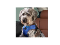 Subaru Pet-Friendly - SOA854H000