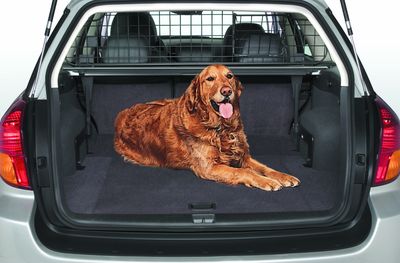 Subaru Compartment Separator/Dog Guard w/Moonroof 4 F551SAG500