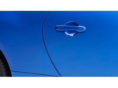 Subaru Door Edge Guards SOA801P070