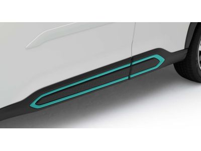 E5510SL100 Subaru Lower Door Trim - Blue Product Photo 1 of 1