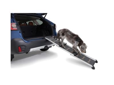 Subaru SOA932P100 Pet Ramp SOA932P100 Subaru Pet Ramp Product Photo 1 of 1