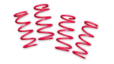 Subaru STI Performance™ Springs - Manual B2010CA000