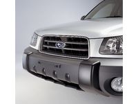 Subaru Brush Guard - E7710FC000