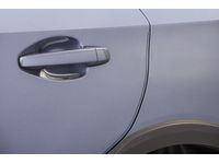 Subaru Door Edge Guard - SOA801P010BI