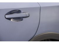 Subaru Legacy Door Edge Guard - SOA801P010-17
