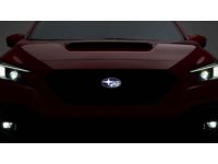 Subaru WRX Sport Grille - J1010VC201