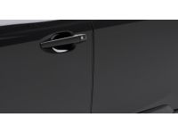 Subaru Legacy Door Edge Guard - SOA801P060V3