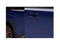 Subaru Forester Door Edge Guard - SOA801P100M7