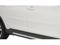 Subaru Ascent Body Side Molding - J101SXC200