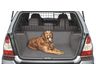 Subaru Forester Compartment Separator/Dog Guard