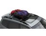Roof Cargo Basket