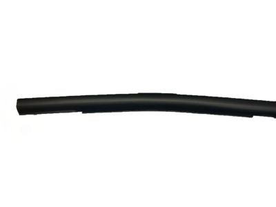 Subaru 62280VA110 Weather Strip Door Rear O 62280VA110 Subaru Weather Strip Door Rear O Product Photo 1 of 4
