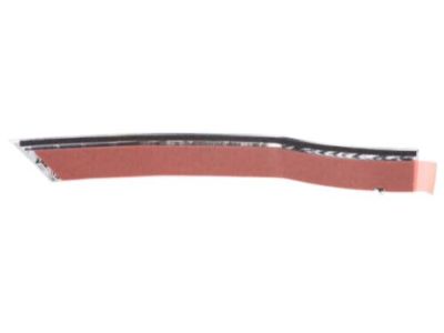 Subaru 91123FG040 Molding GARN Sti