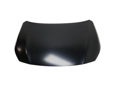 Subaru Hood - 57229AL00B9P