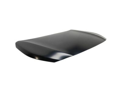 Subaru 57229AL00B9P Front Hood Panel