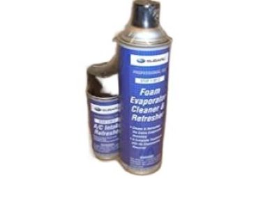 Subaru SOA868V9315 Climate Control Cleaning