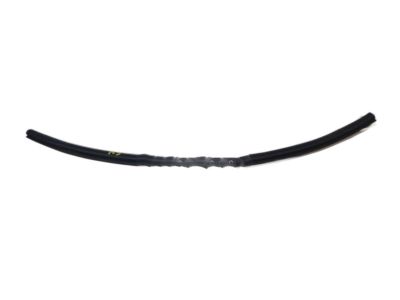 Subaru 63512FJ100 WEATHERSTRIP Door Rear Lower