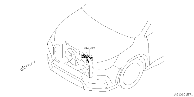 2021 Subaru Ascent Wiring Harness - Main Diagram 4