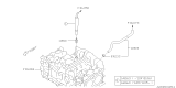Diagram for Subaru Forester PCV Hose - 11815AC360