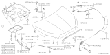 Diagram for Subaru Ascent Hood Hinge - 57260AL01A9P