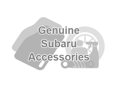 Subaru Forester Ski Attachment Mounting Clamps - E3610LS140